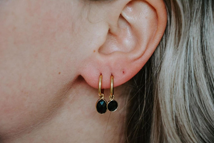 Dana Sleek Oval  Stone Earrings