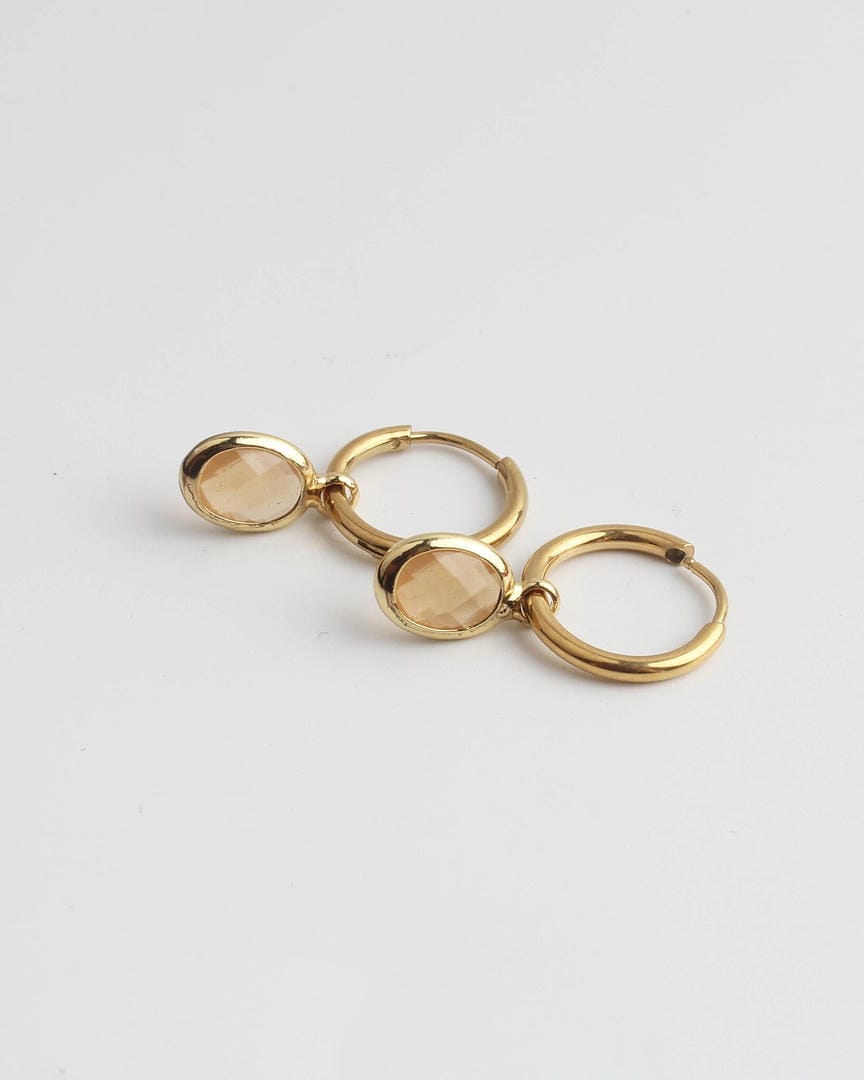 Dana Sleek Oval  Stone Earrings