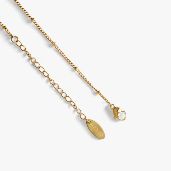 Zodiac Harmony Charm Necklace